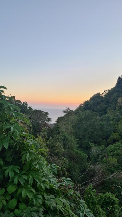 圣若瑟Le Cocon De Madana公寓 外观 照片