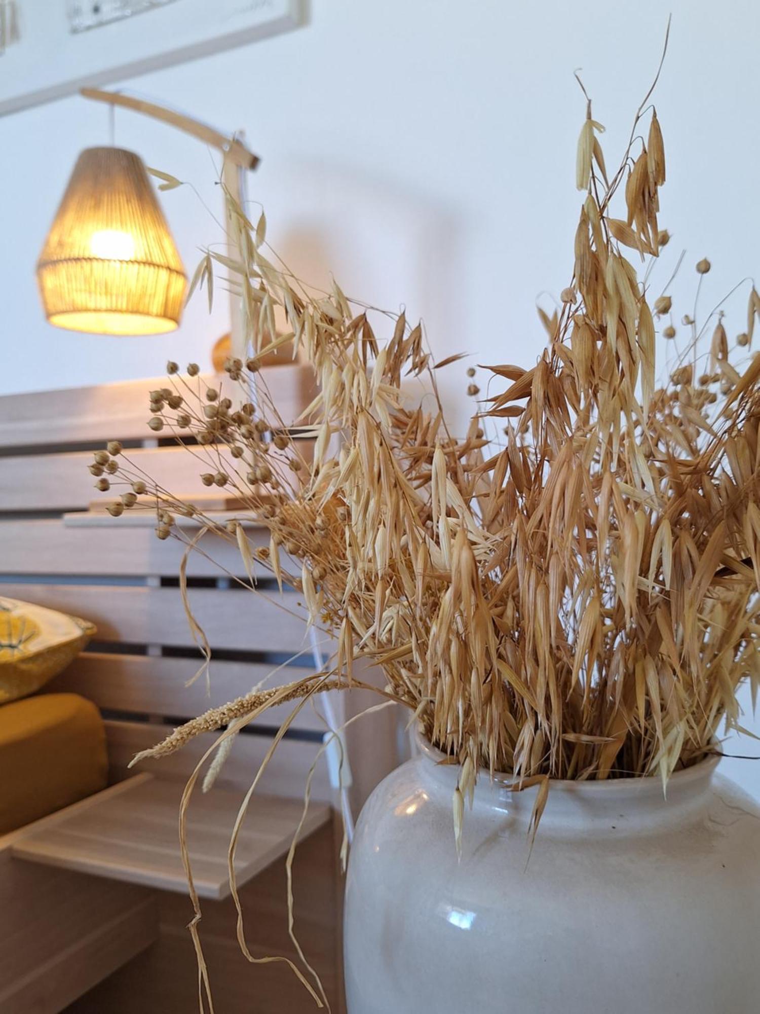 圣若瑟Le Cocon De Madana公寓 外观 照片